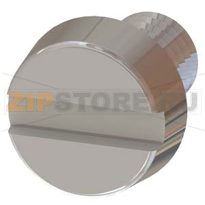 ПРИНАДЛЕЖНОСТЬ ДЛЯ МЕТАЛЛИЧЕСКИХ ОРГАНОВ УПРАВЛЕНИЯ, 22MM: БОЛТ ЗАЗЕМЛЕНИЯ, ПРИ УСТАНОВКЕ МЕТАЛЛИЧЕСКИХ ОРГАНОВ УПРАВЛЕНИЯ НА ЛИЦЕВЫХ ПАНЕЛЯХ ИЗ НЕПРОВОДЯЩИХ МАТЕРИАЛОВ Siemens 3SU1950-0KK80-0AA0 