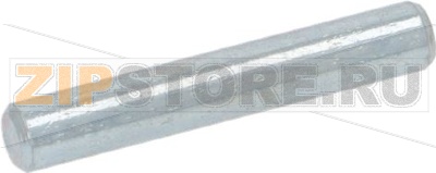 ПАЛЕЦ ДЛЯ ЕЛЕКТРОМАГНИТА ДОЗАТОРА 