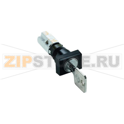 Переключатель ключевой 250 В/AC, 4 А, 1 x выкл/вкл, 1x45°, 2 шт Rafi 1.15.108.661/0100 