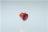 LENTE ROSSA