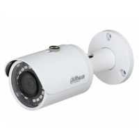 IP-камера Dahua DH-IPC-HFW1231SP