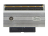 Печатающая термоголовка для весов DIGI SM-80SX, SM-500