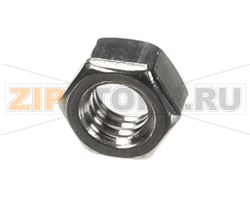 NUT 5/16-18 HEX SS F 