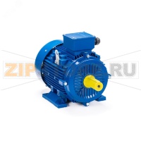 Электродвигатель 22 кВт, 380/660 В, 1500 об/мин, IP55 ESQ 01.05.221587