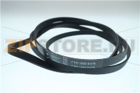 346774 CINGHIA TD70.C