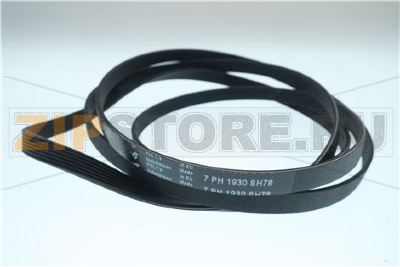 346774 CINGHIA TD70.C 