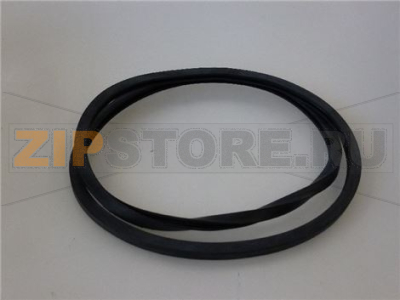 SEALING RING 