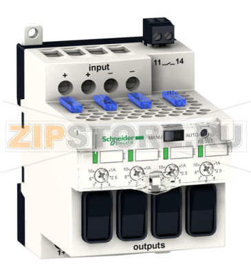 Модуль защиты Schneider Electric ABL8PRP24100 