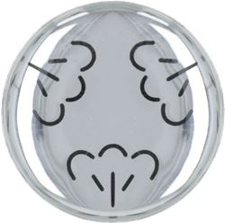 STEAM ANAGRAM LEVER TAP KNOB 