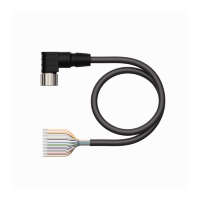 Кабель TPU Turck CKWM19-19-10/TXL