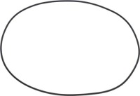 УПЛОТНИТЕЛЬ ORM 1645-20 EPDM