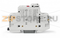 2-conductor fuse holder   ; for cylindrical fuses 10 x 38 mm; 13/32" x 11/2"; for photovoltaic applications; 1-pole; with blown fuse indication; 1000 VDC; for DIN-rail 35 x 15 and 35 x 7.5; 16 mm; CAGE CLAMP®; 16,00 mm; light gray Wago 811-317