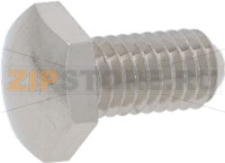 BOMBED SCREW TE M6x12 