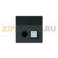Плата вызывной кнопки центральная, антрацитовая ABB 2TKA003206G1