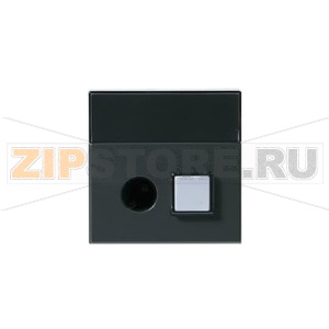 Плата вызывной кнопки центральная, антрацитовая ABB 2TKA003206G1 