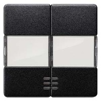 DELTA I-SYSTEM ЧЕРНЫЙ МЕТАЛЛИК ВЫКЛЮЧАТЕЛЬ 2 КЛАВИШИ С ОКНОМ И ПОЛЕМ ДЛЯ НАДПИСИ 55X55MM Siemens 5TG6233