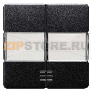 DELTA I-SYSTEM ЧЕРНЫЙ МЕТАЛЛИК ВЫКЛЮЧАТЕЛЬ 2 КЛАВИШИ С ОКНОМ И ПОЛЕМ ДЛЯ НАДПИСИ 55X55MM Siemens 5TG6233 