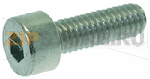 ВИНТ С ЦИЛИНДРИЧЕСКОЙ ГОЛОВКОЙ НИЗКОЙ M4X12 