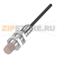 Датчик уровня наполнения емкостной, контактирующий со средой Balluff BCS0178