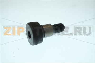 VITE SUPERIORE M8 C/CODOLO 