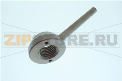 POMELLO COMPL.INS50 2011 SALD+SABB 