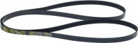 CORREA PV 2489J8