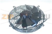 Fan motor