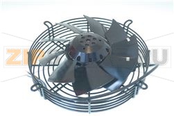 Fan motor 