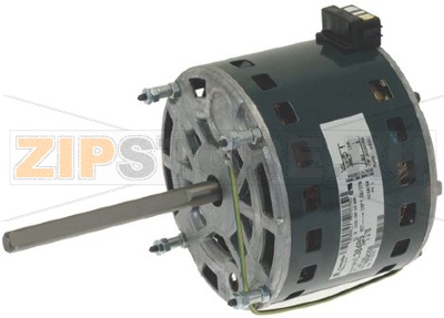 MOTOR 1/4HP 220/250V 50/60Hz 