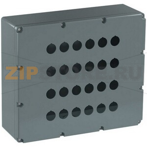 Корпус кнопочного поста 080SP24 ABB 1SFA170810R1024 