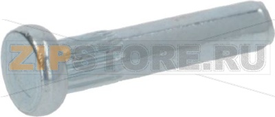 PERNO ø 3x15,5 mm 