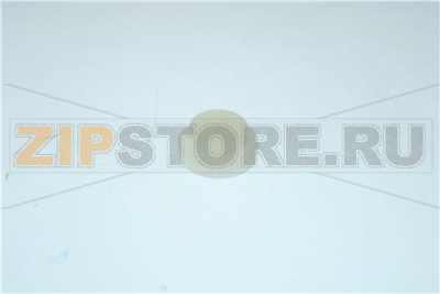 SPRING PIN 