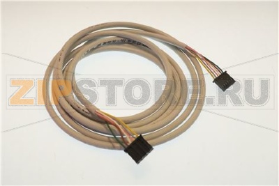 CAVO AMP6/AMP6 L2300 