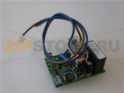 SCHEDA TIMER 110V 