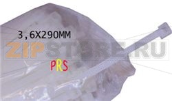 COLLIERS NYLON 4.8X300 *100* 