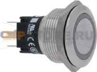 PUSHBUTTON 2-POLE 5A 250V