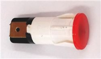 LAMPADA