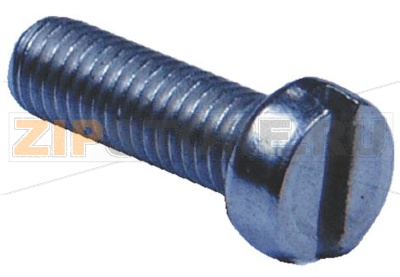 VITE A TESTA CILINDRICA M5x15 