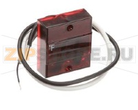 DISPLAY DIGITALE TEMPERATURA, LED SENZA