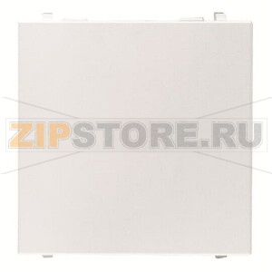 Заглушка двухмодульная, альпийский белый ABB 2CLA220000N1101 