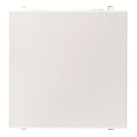 Заглушка двухмодульная, альпийский белый ABB 2CLA220000N1101