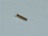 Wire-end sleeve 2,5 mm²   12 mm length