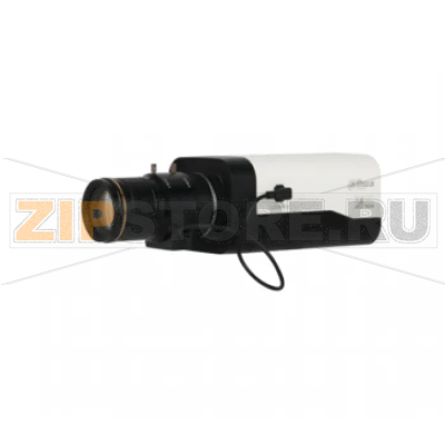 IP-камера Dahua DH-IPC-HF8630FP-S2 