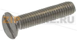 SECS SCREW 