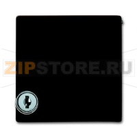 Плата промежуточная с крышкой для центральных плат, IP44, коричневая ABB 2CKA001710A3788