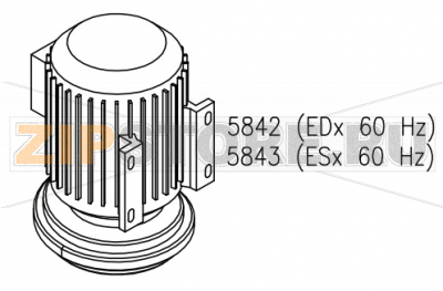 Pompa 2.35 KW 230/400V3 60HZ SX/DX Aristarco TR 1650         Pompa 2.35 KW 230/400V3 60HZ SX/DX Aristarco TR 1650Запчасть на сборочном чертеже под номером: 5842,5843Название запчасти Aristarco на итальянском языке: Pompa 2.35 KW 230/400V3 60HZ SX/DX Aristarco TR 1650