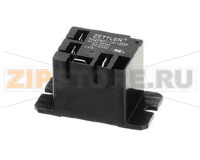 RELAY,SPST,NO,12V,30A