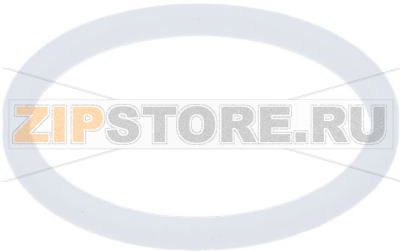 GASKET PTFE ø 21x16,8x2 mm G.IZZO 
