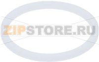 GASKET PTFE ø 21x16,8x2 mm G.IZZO