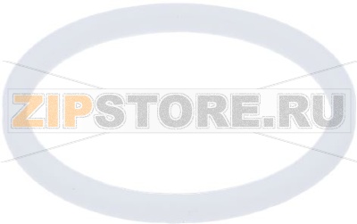 GASKET PTFE ø 21x16,8x2 mm G.IZZO 